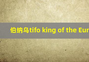 伯纳乌tifo king of the Europ